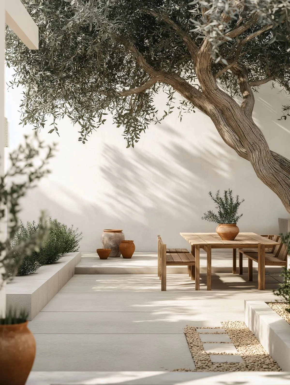 Açık ton microcement dış mekân terası ve zeytin ağacı