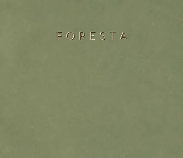 Industrial Collection Foresta renkli microcement yüzey numunesi