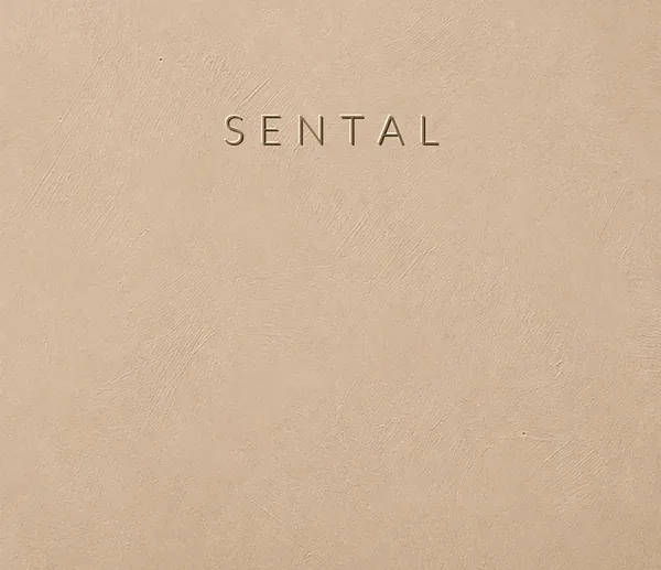 Industrial Collection Sental renkli microcement yüzey numunesi