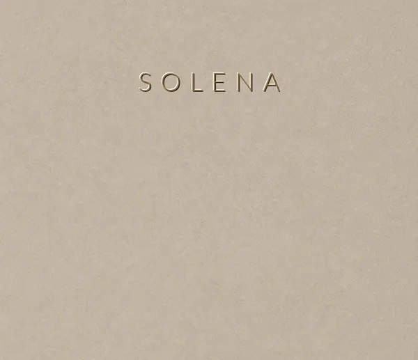 Industrial Collection Solena renkli microcement yüzey numunesi